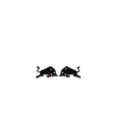 Red-Bull-logo-white